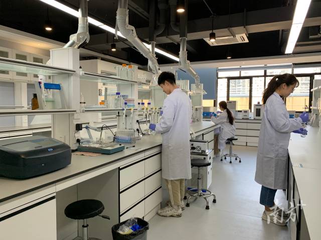 广东工业大学“攀峰班”学生在开展实验探究。